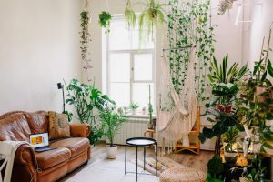 Plantas Pendentes Na Decora O Saiba Como Us La Em Casa Blog Astra