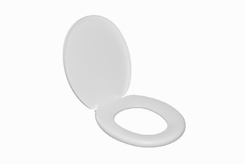 Toilet Seat with Matte Top Astra